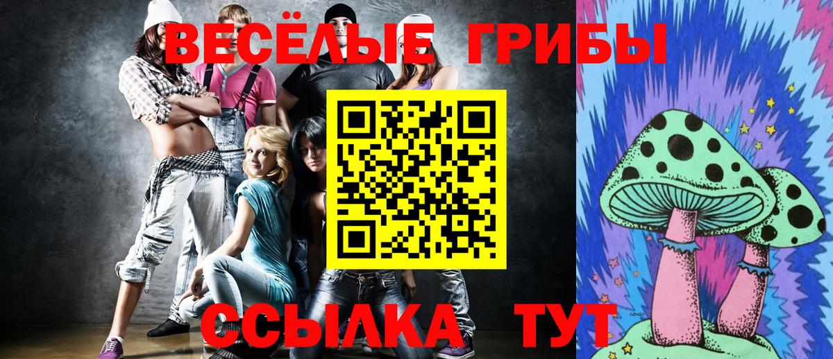 Псилоцибиновые грибы мицелий Борзя